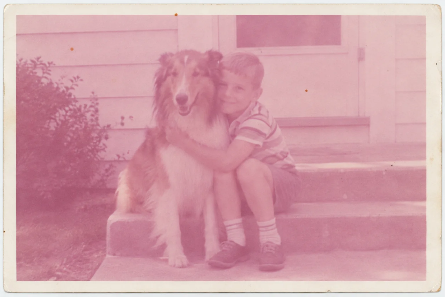 Restore old pet photos, the original print